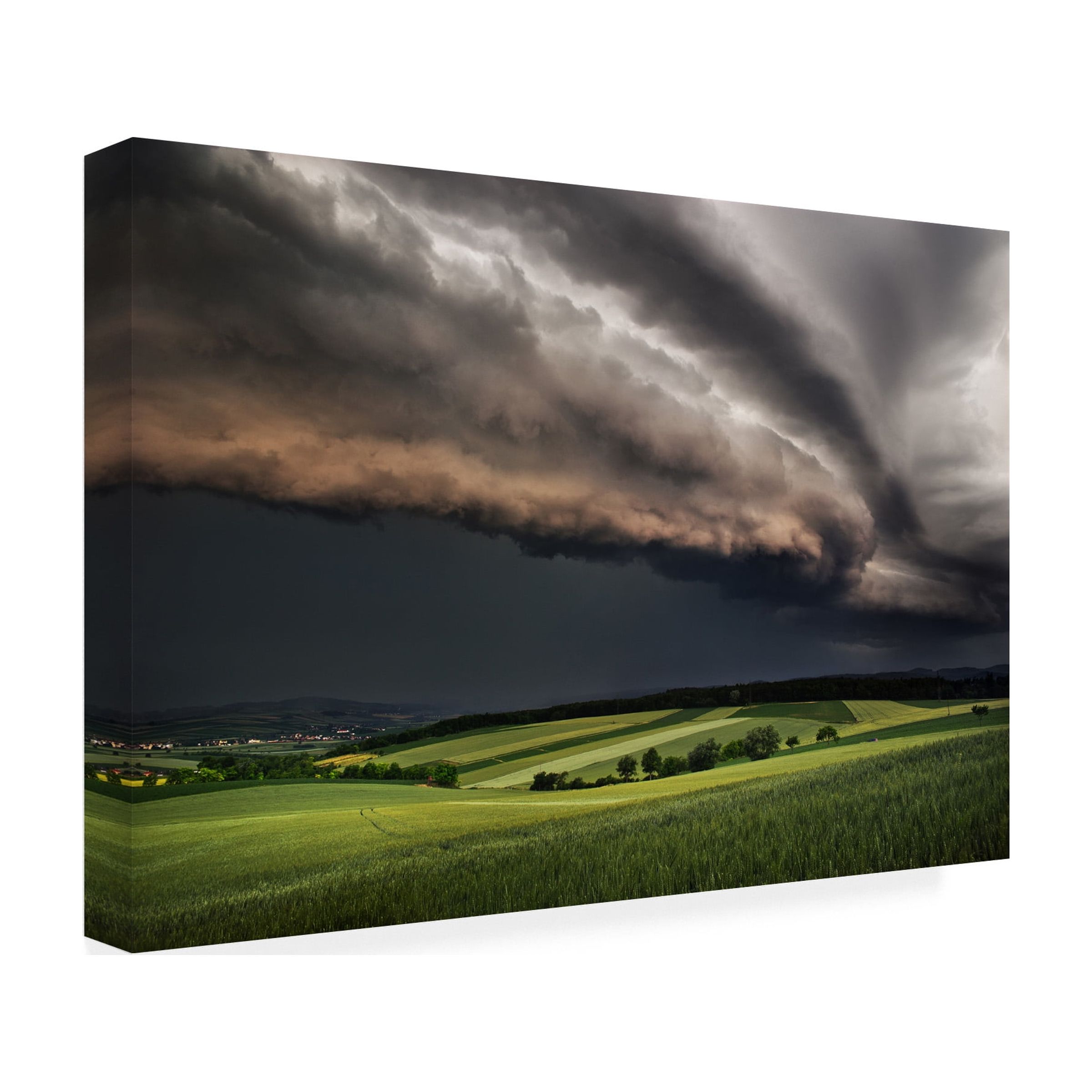 Burger Jochen 'Storm' Canvas Art