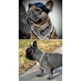thumbnail image 4 of Gold Dog Chain Choke Collar,solid Cuban Link Strong, Heavy Duty Chew Resistant With Design Secure Buckle And Blank B Shape Id Tag, 4 of 5
