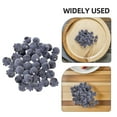 thumbnail image 3 of FESTFENDS 60Ud De Blueberry Falsos En Espuma Para De Y, 3 of 8