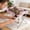 Pink, variant on Space-Saving Foldable Pet Sling Table Lightweight Pet Grooming Sling, Collapsible Dog Grooming Stand with Mesh Breathable for Dogs, Cats, Nail Trimming, Bathing