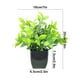 thumbnail image 3 of Decoración del hogar, decoración de habitaciones, decoración de paredes, plantas artificiales decorativas, plantas verdes de simulación, arreglos para muebles de interior, sala de estar, ramo de plást, 3 of 6