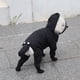 thumbnail image 1 of Cobertura completa Ropa para perros Chubasquero de una pieza para perros Suministros para mascotas (Negro S), 1 of 6