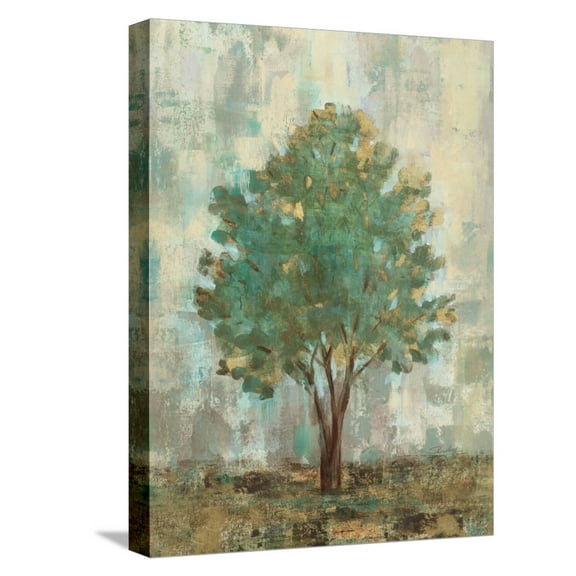Art.com Verdi Trees II Stretched Canvas Print Wall Art by Silvia Vassileva, 12" x 16"