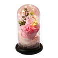 thumbnail image 1 of Lámpara de noche LED creativa con forma de rosa en cúpula de cristal y base de madera, con flores artificiales, ideal como regalo para Navidad, San Valentín, bodas, sin batería (tubo largo colorido), 1 of 7