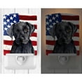thumbnail image 2 of Caroline's Treasures SC9012CNL Flag with Labrador Ceramic Night Light, 6x4x3", multicolor, 2 of 2
