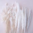 thumbnail image 4 of Flores secas de hierba de Pampas blancas, cola de conejo negro, ramo de flores artificiales, estilo bohemio nórdico, decoración del hogar, decoración de fiesta, 4 of 4