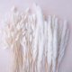 thumbnail image 4 of Flores secas de hierba de Pampas blancas, cola de conejo negro, ramo de flores artificiales, estilo bohemio nórdico, decoración del hogar, decoración de fiesta, 4 of 4