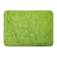 thumbnail image 1 of YUSDECOR Asian Powder Powdered Matcha Green Tea Closeup Organic Beverage Rug Doormat Bath Mat 23.6x15.7 inch, 1 of 1