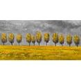 thumbnail image 3 of Arbres Jaunes dans un Champ - Toile 24"x48 Pouces - Impression à la Demande, 3 of 5