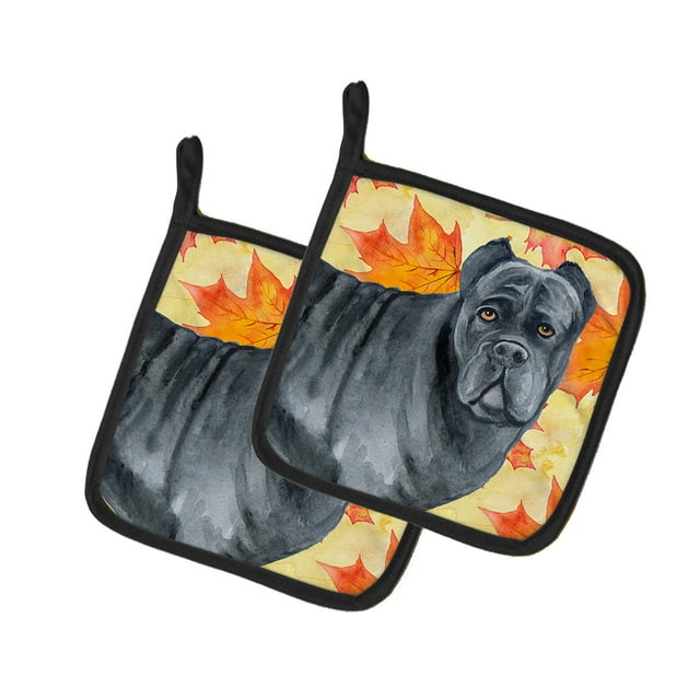 Carolines Treasures BB9955PTHD Canne Corso Automne Paire de Porte-Pots