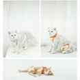 thumbnail image 3 of Dog And Cat Belly Band, Prevent Cold Protect Belly, Pet Corgi Comfortable Homewear, 3 of 3
