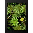 thumbnail image 2 of Malvin, Larry 13x18 Black Modern Framed Museum Art Print Titled - Cloud Forest Foliage I, 2 of 5