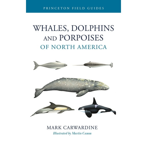 Princeton Field Guides Whales, Dolphins, and Porpoises of North America, (Paperback)