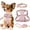 Pink, variant on Didog 3pcs Small Dog Cat Puppy Collar and Lead with No Pull Pet Vest Harness Set XXS-S