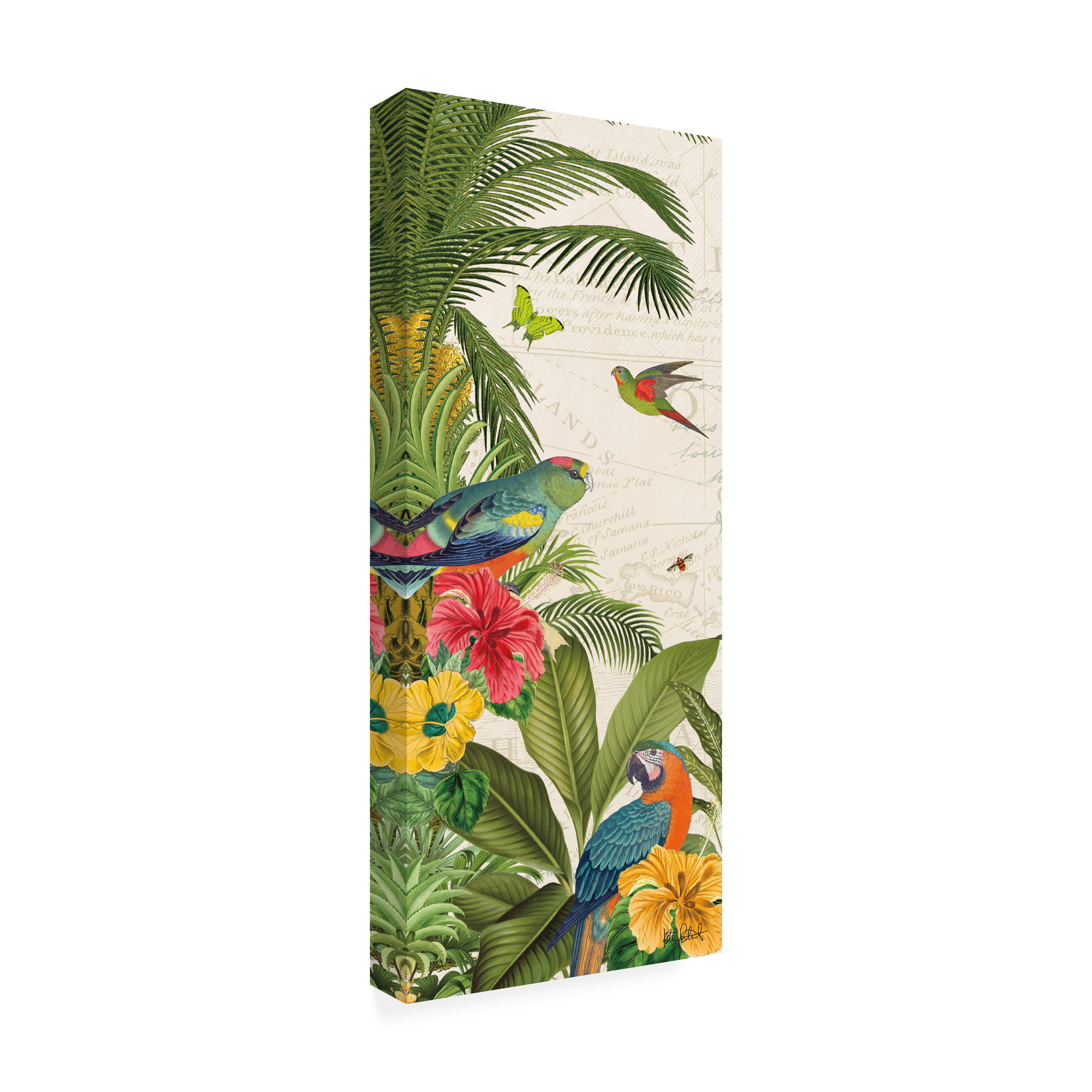 Trademark Fine Art 'Parrot Paradise VI' Canvas Art by Katie Pertiet