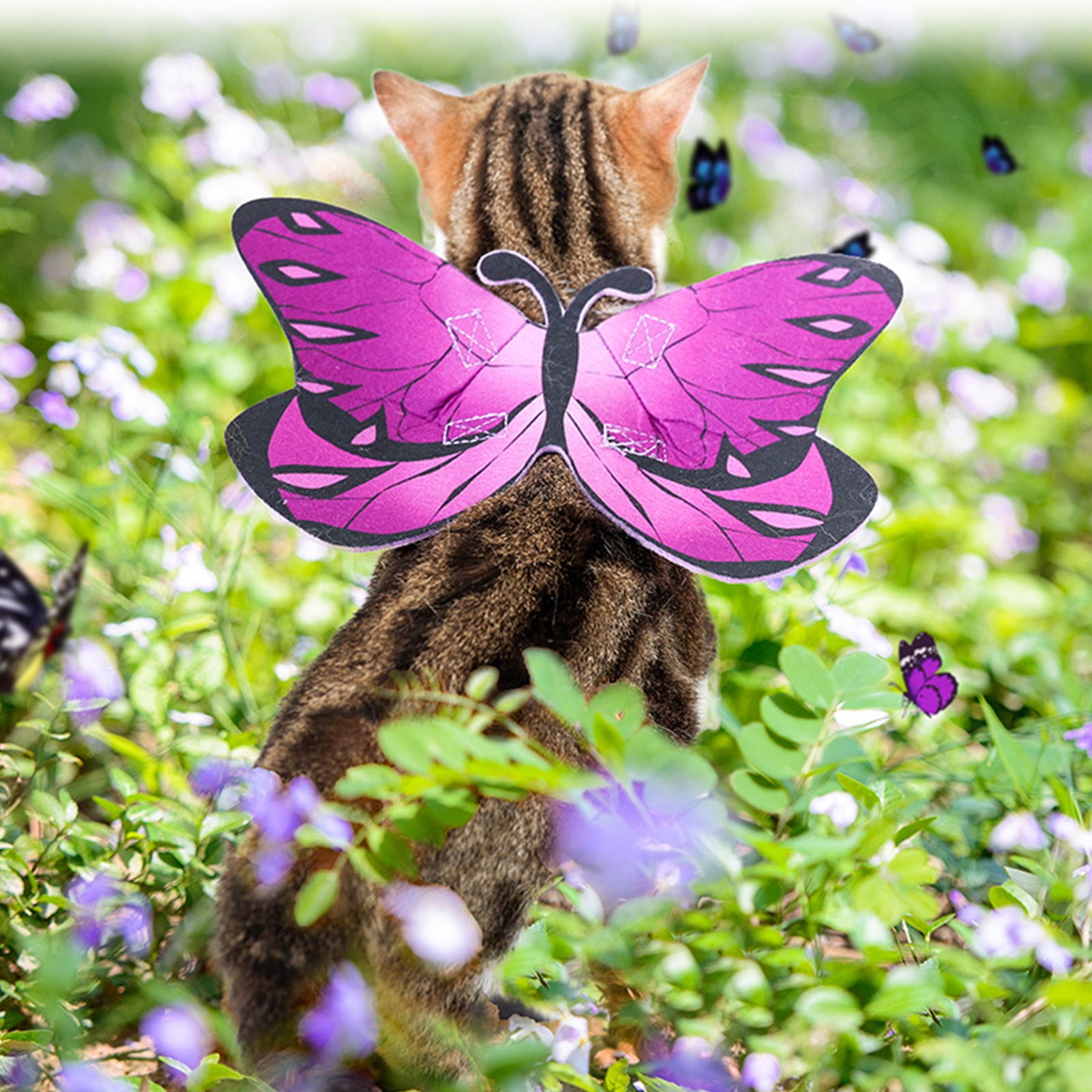Pet Butterfly Wing Adjustable Realistic Pet Dogs Cats Butterfly