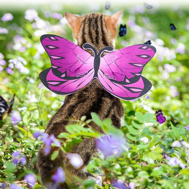 GMMGLT Pet Butterfly Wing Adjustable Realistic Pet Dogs Cats Butterfly Costume for Halloween 1Pc Men s Size One size Blue