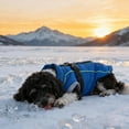 thumbnail image 7 of Waterproof Dog Winter Jacket with Built In Harness Reflective Cold Weather Coat with Fleece Lining and Zipper Windproof Dog Coat for Small Medium Large Dogs Outdoor Snowsuit, 7 of 7