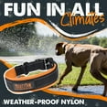 thumbnail image 6 of Mighty Paw Sport Collar 2.0 | Soft Neoprene Padded Dog Collar for Maximum Comfort. (Orange) (Medium), 6 of 9