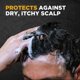 thumbnail image 2 of Champú y acondicionador DOVE MEN + CARE Anticaspa 2 en 1, 2 of 8