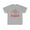 Sport Grey, variant on DJH Apparel | Awesome Educators Passion Fueled Inspirational Unisex Tshirt