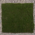 thumbnail image 4 of Shisuyan Artificial Turf Fake Grass Turf Craft Ornament Sand Table Diy Grass Turf Decoration, 4 of 9