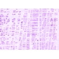 thumbnail image 1 of Ahgly Company Indoor Rectangle Solid Purple Modern Area Rugs, 7' x 10', 1 of 4