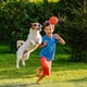 thumbnail image 2 of 6 Pcs 5 Inch Mini Basketball Balls for Mini Hoop Small Basketball for Outdoor-2025, 2 of 5