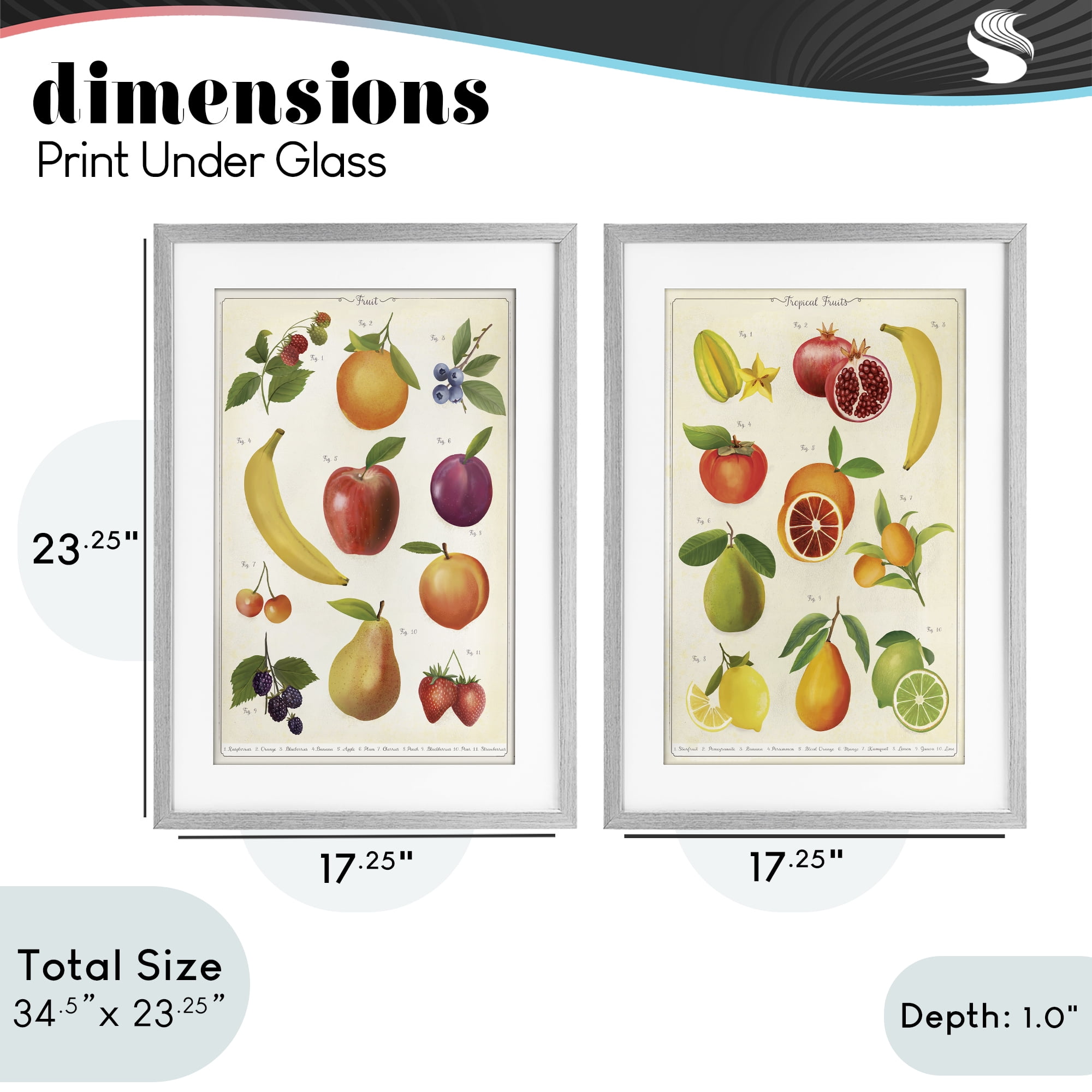 Stupell Industries Kitchen Studies Fruit 2 Piece Gray Framed Print Under Glass Set, design by Diane Neukirch