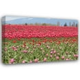 thumbnail image 1 of Dana Styber 32x23 Gallery Wrapped Canvas Wall Art Titled - Red Tulip Mound I, 1 of 4