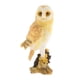 thumbnail image 2 of s de modelo de pájaro de plástico de 5 piezas, regalos de cumpleaños, juguetes de aprendizaje, adornos de Baoblaze Figuras de acción de vida silvestre, 2 of 8