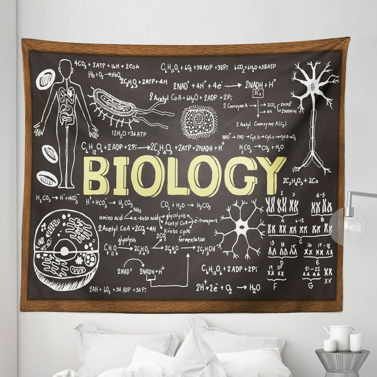 Science Tapestry Black Chalkboard Biology Hand Written Fabric Wall Hanging Decor for Bedroom Living Room Dorm 5 Sizes Black Brown Pale Yellow by