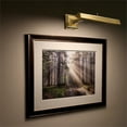 thumbnail image 2 of WAC Lighting Hemmingway 14" LED Adjustable Aluminum Picture Light in Nickel, 2 of 4