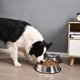 thumbnail image 4 of 2 paquetes de cuencos para perros de acero inoxidable con base de goma antideslizante para mascotas pequeñas/medianas/grandes, plato perfecto, cuenco alimentador de mascotas y cuenco de agua, 4 of 4