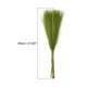 thumbnail image 2 of Uxcell 12Pcs Hierba Pampas Falsa 21" Pampas Falsas para Decoración de Bodas Verde Hierba, 2 of 7