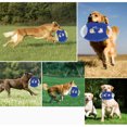 thumbnail image 4 of Dog Flying Disc Toy Training Cotton Rope Handle Dog Flyer Catcher Toy for Pets, 4 of 6