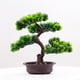 thumbnail image 2 of de bonsái artificial, verde decorativo con maceta, simulación de bonsái, de imitación para granja, escritorio, baño, decoración del, 2 of 7
