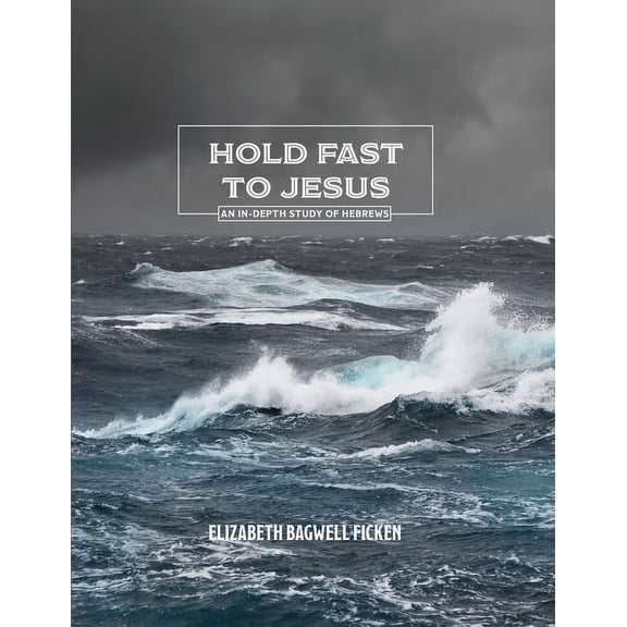 In-Depth Bible Study Series by Elizabeth Ficken: Hold Fast to Jesus: An in-depth study of Hebrews (Paperback)