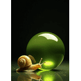thumbnail image 3 of Glass Snail Themed Banner Backdrop Background Decor for Party Photography Props and Home Decorations Festival Celebrations Event Settings Family Gatherings, 3 of 7