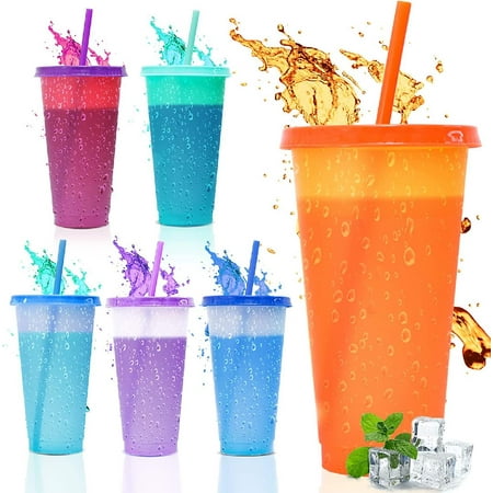 

Reusable Color Changing Cups With Lids and Straws 6 Pack 24 oz Reusable Cups With Lids and Straws Bulk Plastic Tumblers With Lids and Straws Party Travel Cold Beverage Cups