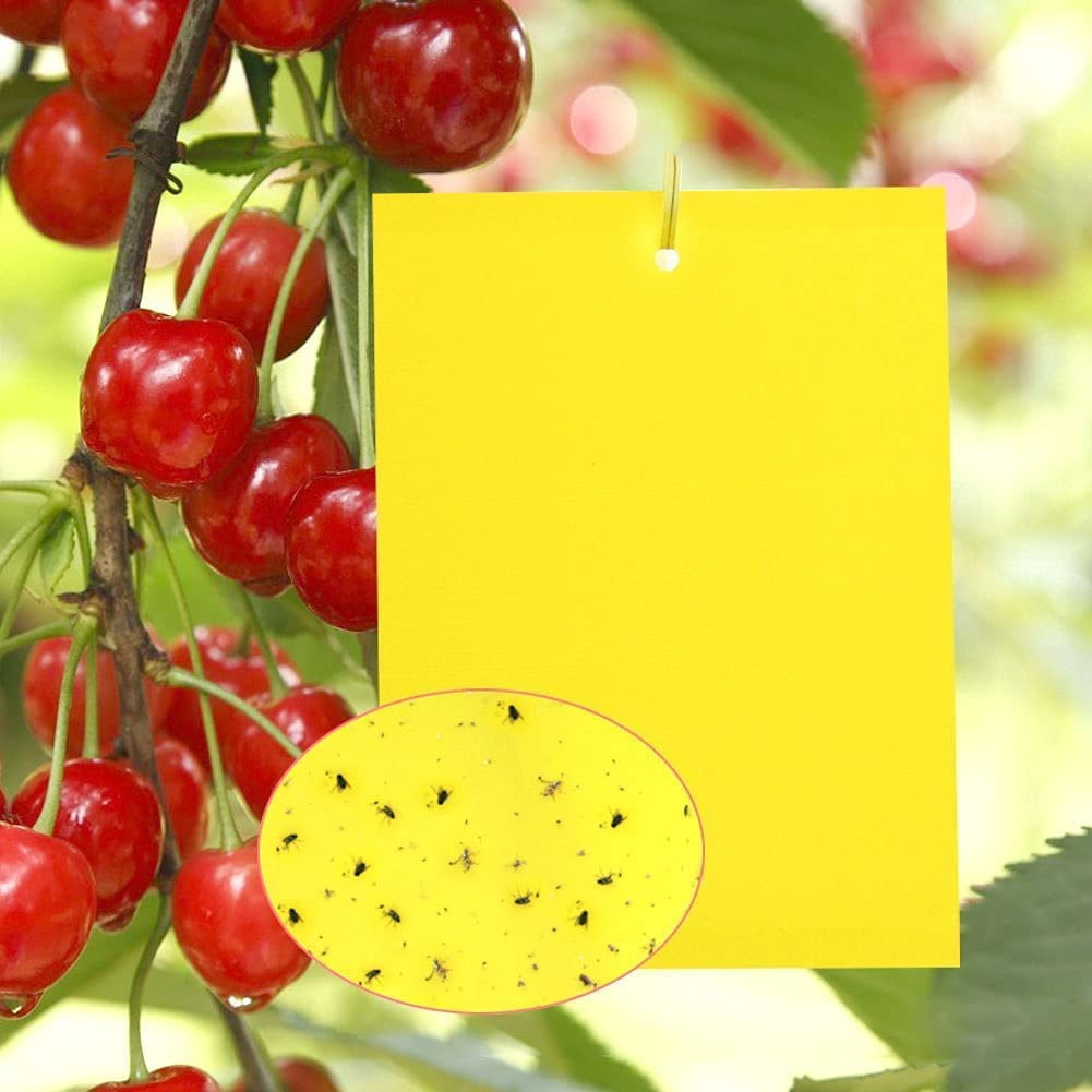 Insect trap, 10 doublesided tight fitting clothes, yellow insect