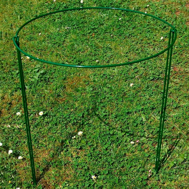 Support Pour Plantes, Tomate, Treillis, Légumes, J... - Grandado