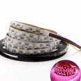 thumbnail image 1 of LED Strip Light 5 Colors in One 16.5ft 300LEDs 5050SMD 12V 24V Flexible RGBWW Dimmable Strips 84leds-24v RGBWW, 1 of 4