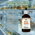 thumbnail image 4 of Wild Hops (Flemingia Strobilifera) Dry Root ALCOHOL-FREE Liquid Extract. Expertly Extracted by Trusted HawaiiPharm Brand. Absolutely Natural. Proudly made in USA. Glycerite 2 Fl.Oz, 4 of 11