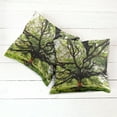 thumbnail image 6 of Ambesonne Nature Throw Pillow Cover 2 Pack, Majestic Tree Thailand, 16", Green Brown, 6 of 7