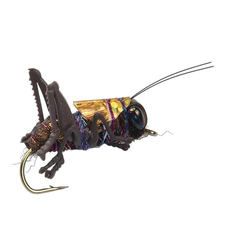 6# Insect Locust Fishing Lures Crankbait Bass Lures Slow Sinking Swimbait Brown