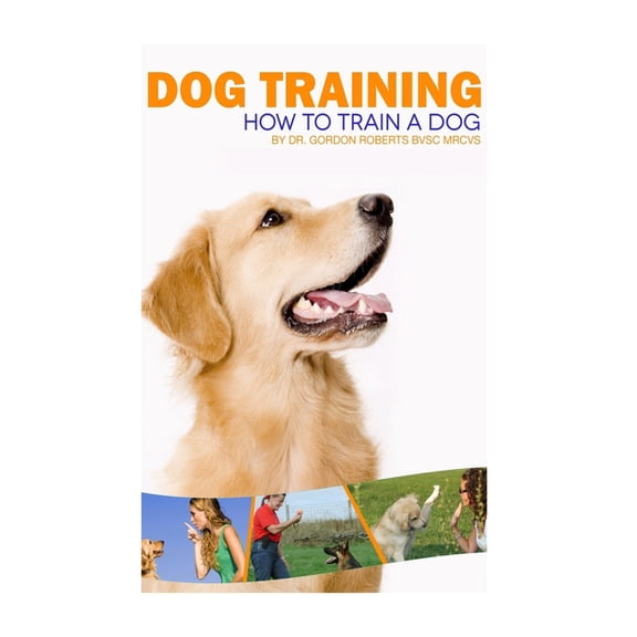 Dog Training: How to train a dog