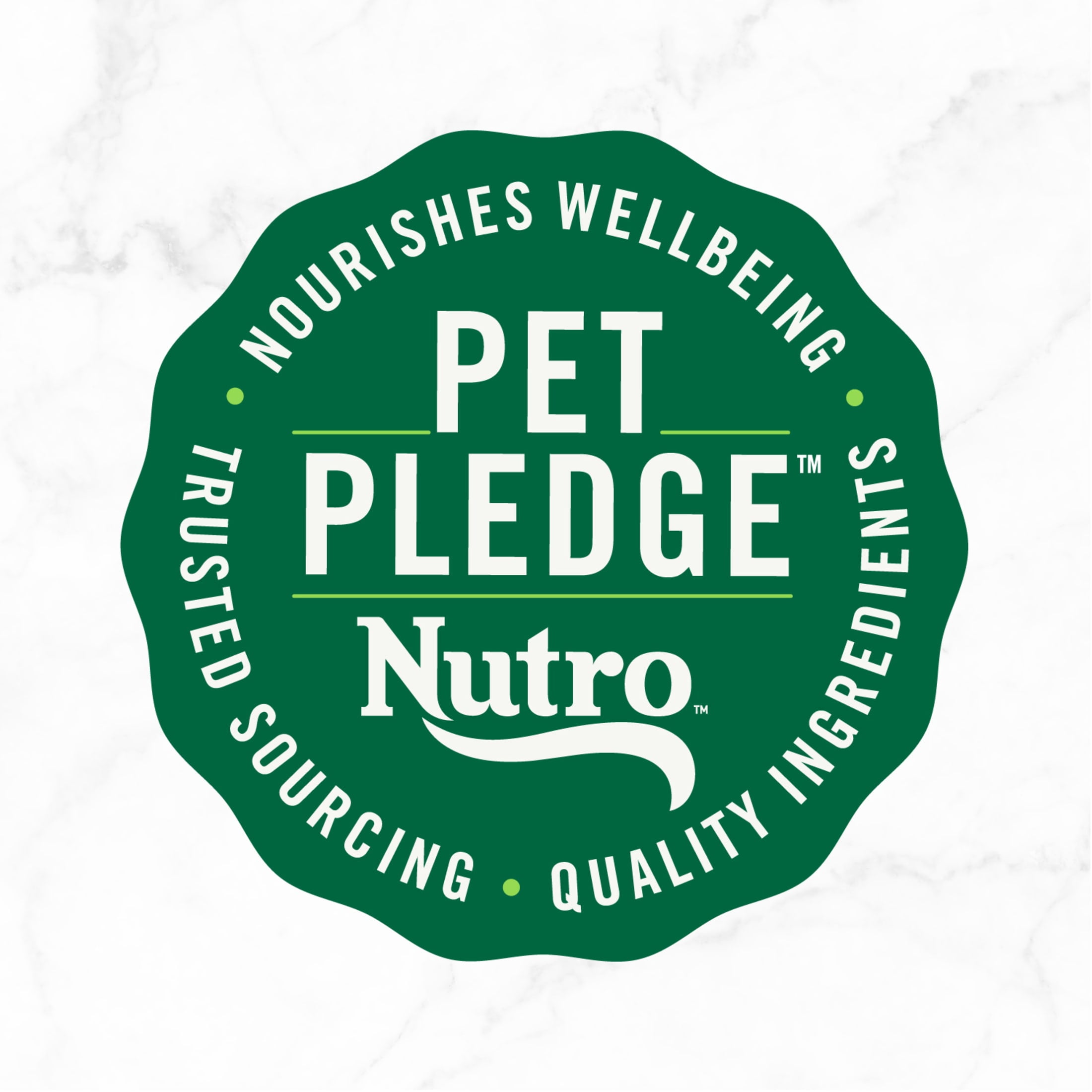 (3 pack) Nutro So Simple Chicken & Duck Recipe In Bone Broth Wet Dog Meal Complement, 2 Oz Tray