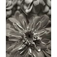 thumbnail image 2 of Blaustein, Alan 26x32 White Modern Wood Framed Museum Art Print Titled - Florison - 17, 2 of 4