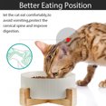 thumbnail image 3 of Ceramic Dog Cat Bowl with Wood Stand,Cat Food & Water Bowls Elevated Non-Spill Modern Cute Cat Dish Heavy Weighted Round Pet Dishes Set for Kitten Small Cat - yellow, 3 of 5